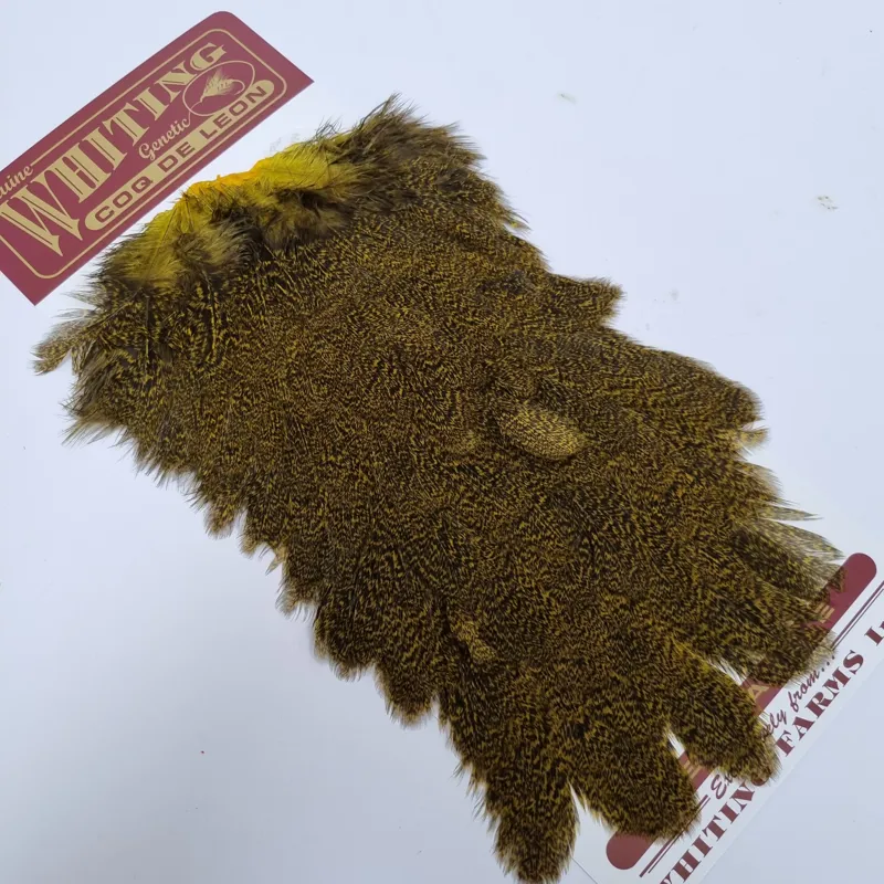 Whiting Coq de Leon Hen Saddle in Speckled Yellow